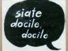 Pallotti_1_1_docile