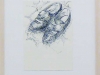 3_schuhe_pallottis