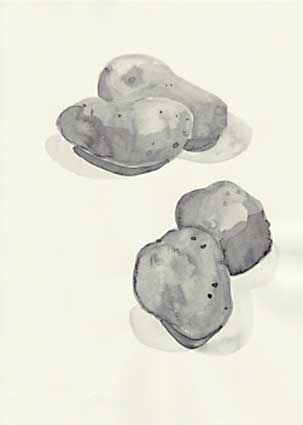 web_kartoffeln_02_2013