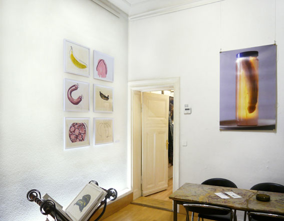 linke hintere Ecke
